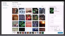WordPress Gallery - How to Insert a Photo Gallery into a WordPress Post