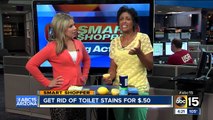 Get rid of toilet stains for 50 cents