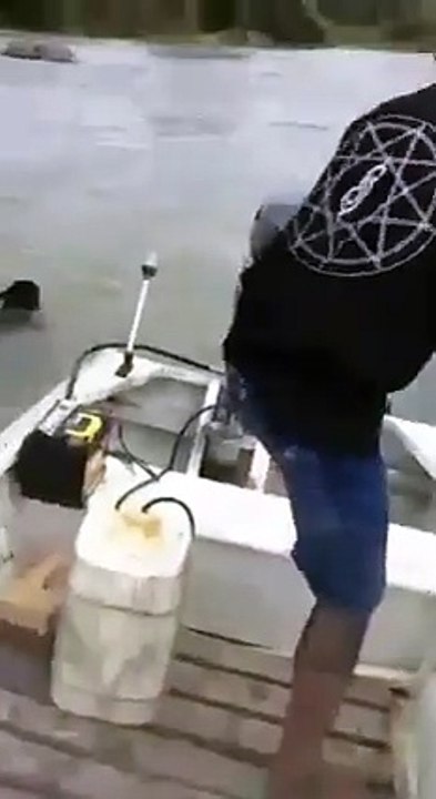 Maledetti trucidano un giaguaro in Brasile