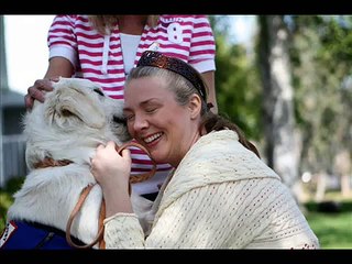 Service Dog Windsor & Brain Injured Handler Meet.wmv