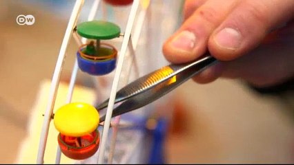 وجبات كأعمال فنية | يوروماكس