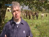 travail avec les ânes - jardin bio - traction animale - ânes et handicap - asinerie de l'O