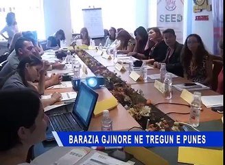 Fabiola Egro - BARAZIA GJINORE NE TREGUN E PUNES