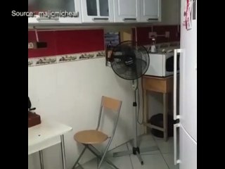 majid michael mimics Falz the bad guy.pulse tv uncut