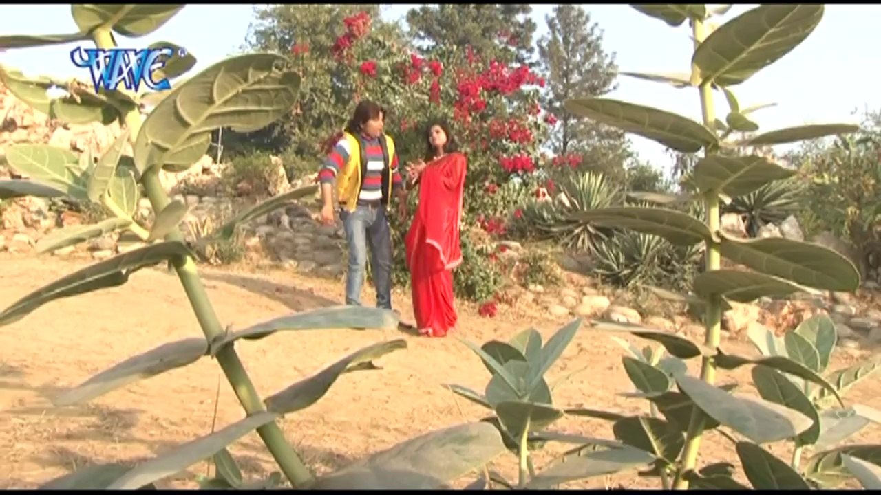 Chal Gori Baswari Me - चल गोरी बसवारी में - I Love You - Bhojpuri Hot Songs HD