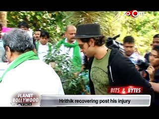 Alia Bhatt's role in Movie 'Udta Punjab' revealed, Hrithik Roshan's cameo in Movie 'Dil Dhadakne Do'