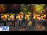 यादव जी के भैंस - Yadav Ji Ke Bhais - Bhojpuri Hot Songs 2015 HD