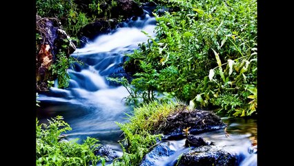 SINIESTRO TOTAL: Miña terra galega