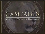 Canned Lion Hunts in South Africa