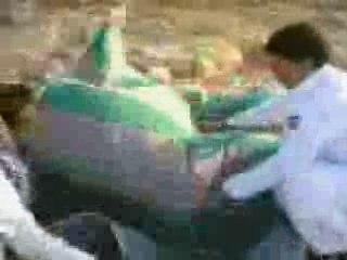 Discover the Wonders of Albir Al Ajib 🌍