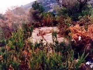 Antonio Anglés - La fuga que nadie se cree