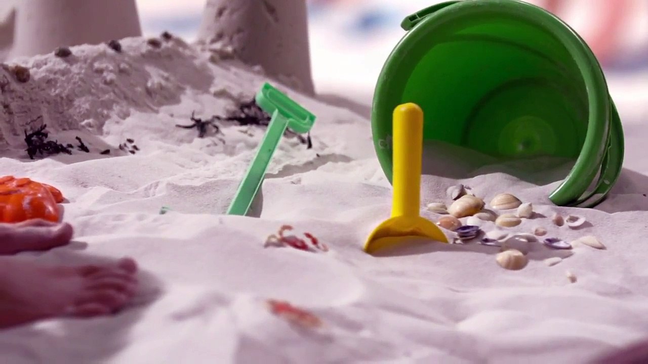 Sauvons les plages (Surfrider Foundation Europe)