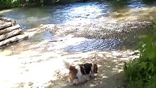 Lenny in the river