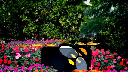 After Effects Project Files - Nature Logo - VideoHive 2635002