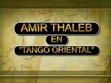 AMIR THALEB 
