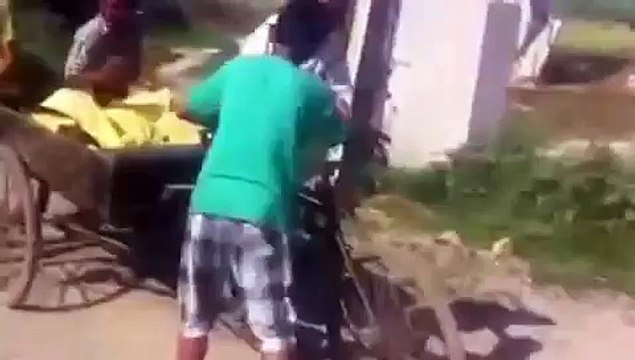 Punjabi Boys Have Fun In the Village│Latest Punjabi Funny Video?syndication=228326