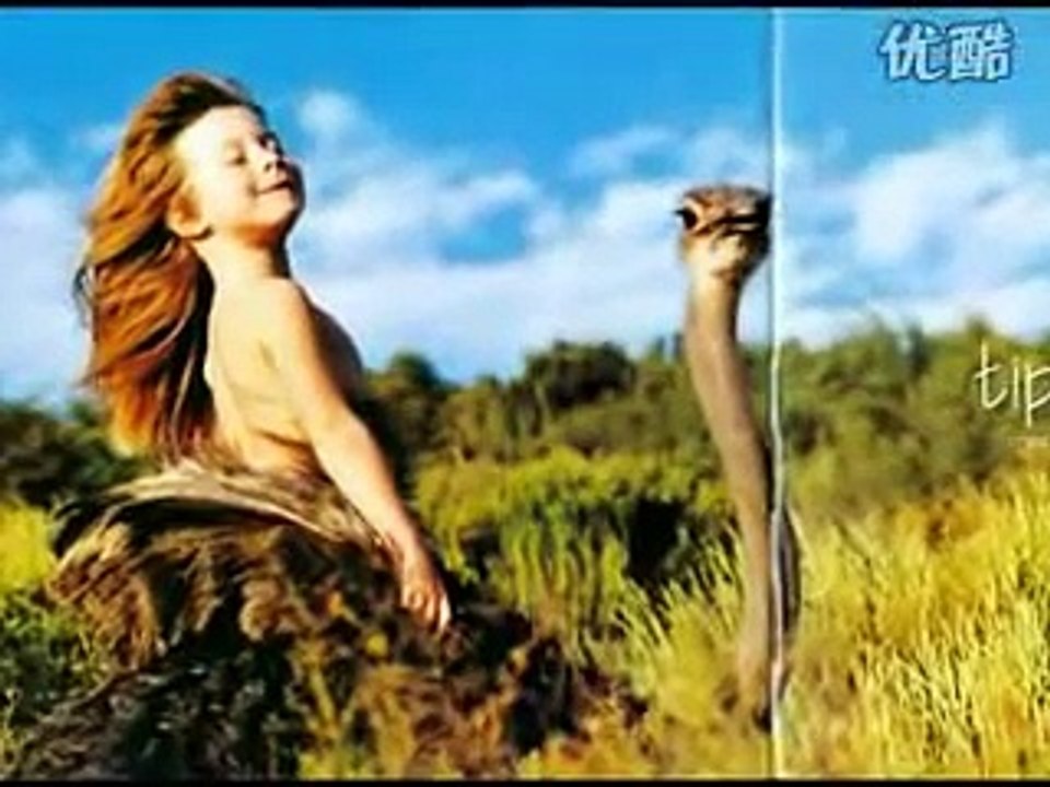 Tippi