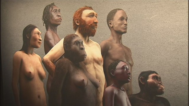 L'affiche de la Galerie de l'Homme ne plaît pas à Brussels Airlines