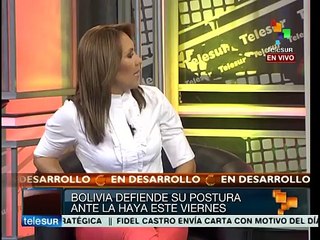 Representación de Bolivia dará réplica a Chile en La Haya