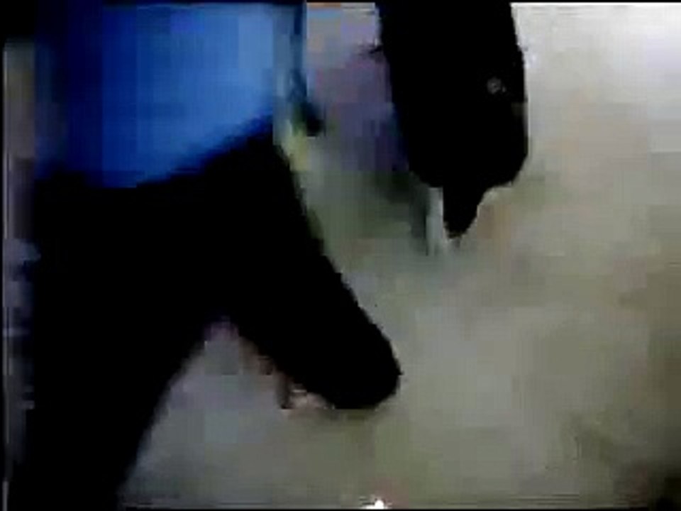 Laser Pointer Dogs