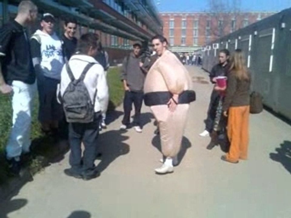 sumo de deodat de severac