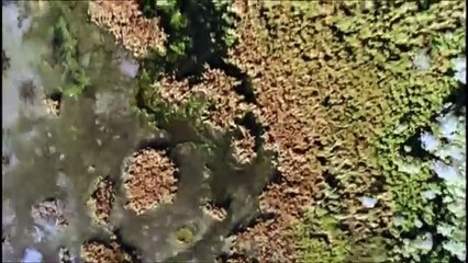 Land of Lost Monsters & Monsters We Met