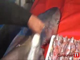 2.5 metrelik köpekbalığı yakalandı