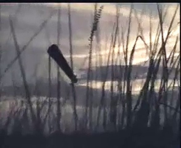Aisay Hum Jeyain - Vital Signs