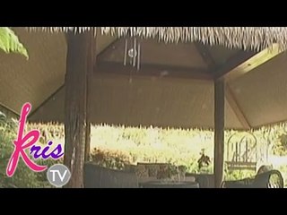 Wind chimes for lasting love in 2015