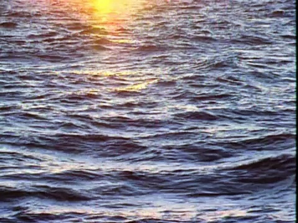 les courants marins