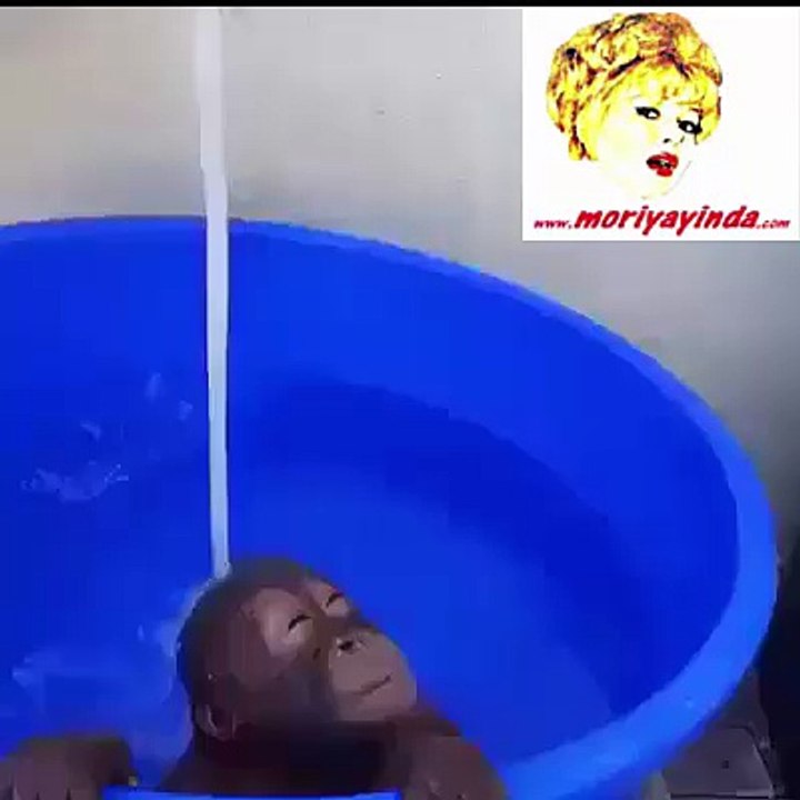 Banyo Keyfi Yapan Maymun