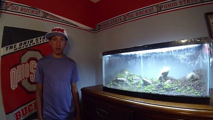 How/Tips to Grow Plants Using Dry Start Method DSM