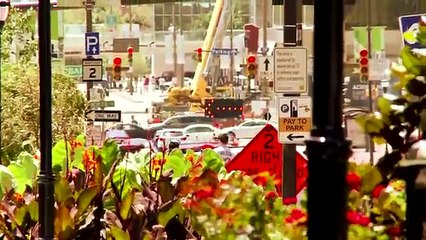 Benefits of Urban Forests