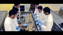 فيلم حفل تخرج طلاب كلية الطب بجامعة أم القرى - دفعة ٢٨ (٢٠١٣) - قصة طالب طب