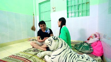 ÐÔI TRÁI TIM YÊU - PHẠM VU THÀNH & NGÂN THOA(tân cổ)