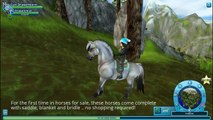 Fjord Horses for Sale at Star Stable