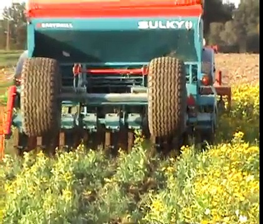 Semis direct céréales sur couvert