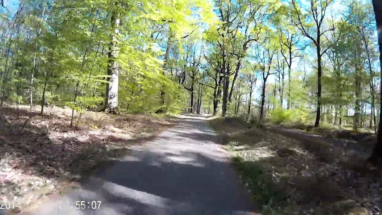 De montfort a rambouillet en vtt partie 14