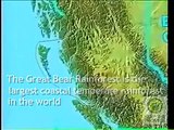 Save The Great Bear Rainforest