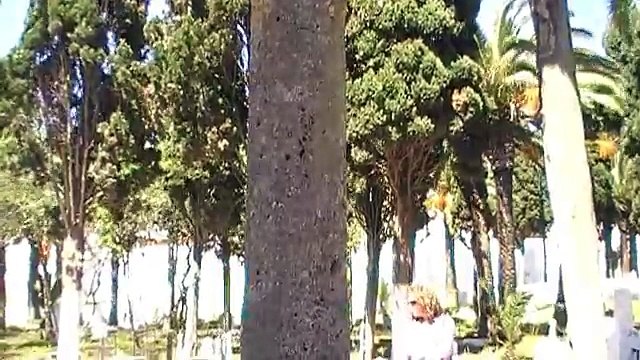 El cementerio español de Tetuan (Marruecos) - The spanish cemetery of Tetouan (Morocco)