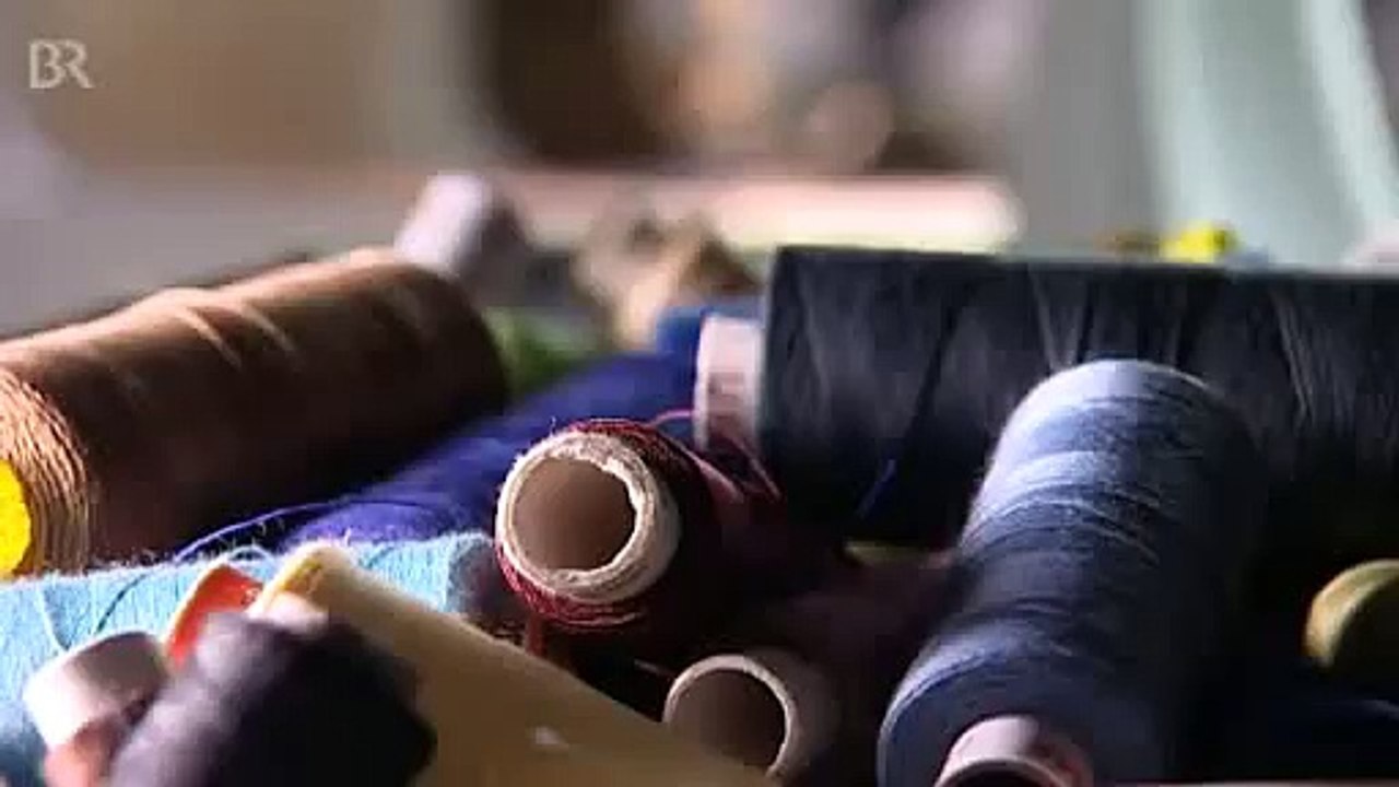 Freilandhaltung Welsh-Black - Rinder in der Oberpfalz  Unser Land (BR)