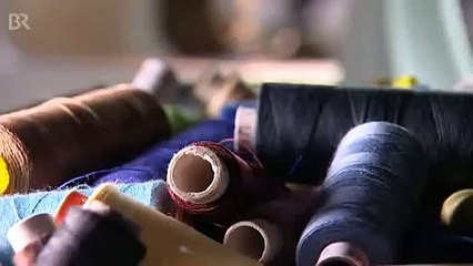 Freilandhaltung Welsh-Black - Rinder in der Oberpfalz  Unser Land (BR)