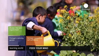 Besser Lernen dank gesunder Ernährung