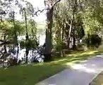 Suwannee River Flood 2009,Dowling Park Florida