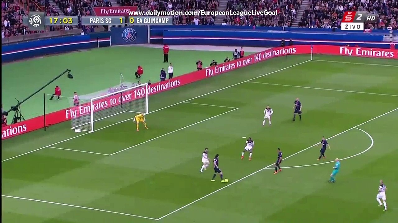 Zlatan Ibrahimovic 2_0 _ Paris Saint Germain - Guingamp 07.05.2015 HD
