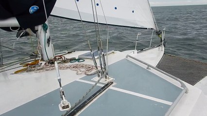 Fleur de Sail