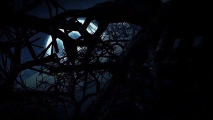 After Effects Project Files - Into The Night - VideoHive 9927810