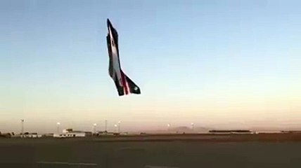 Pilot ne sidha plane urra kar sab ko hiran kar diya