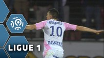 But Mathieu DUHAMEL (48ème) / Evian TG FC - Stade de Reims (2-3) - (ETG - SdR) / 2014-15