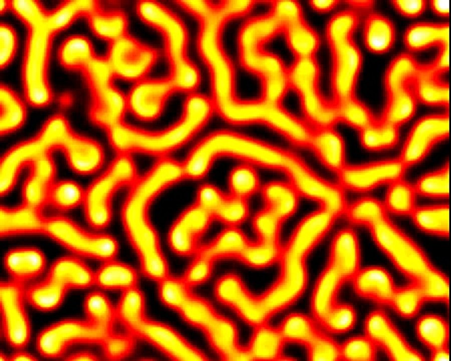 reaction diffusion labyrinth 2